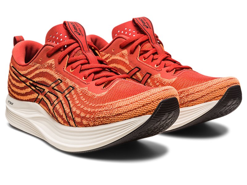 Asics Evoride Speed メンズ ランニングシューズ ブラウン 黒 | JP8969-315