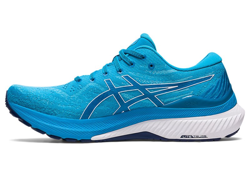 Asics Gel-kayano 29 メンズ ランニングシューズ 青 白 | JP1609-564