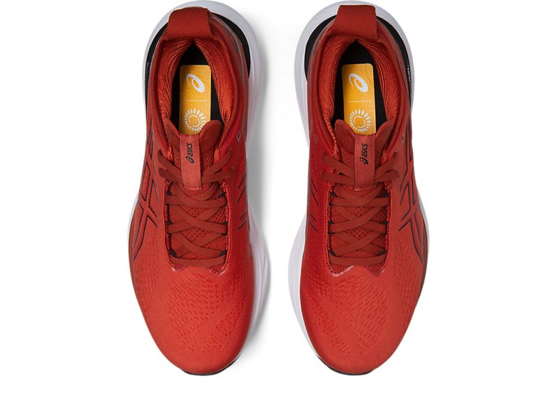 Asics Gel-nimbus 25 メンズ ランニングシューズ ブラウン 黒 | JP3723-160