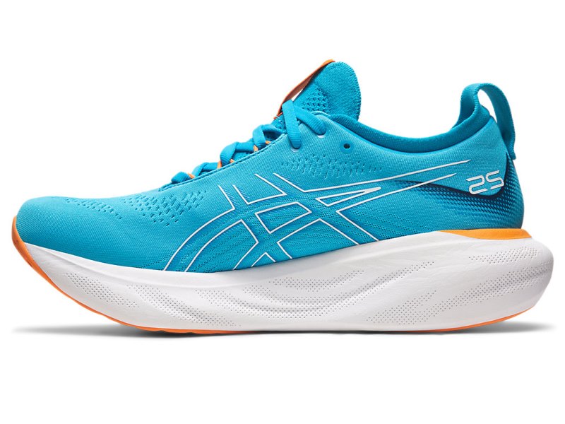 Asics Gel-nimbus 25 メンズ ランニングシューズ 青 オレンジ | JP1979-727